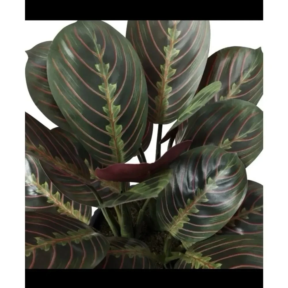 CGH Faux Decorative Plant 3 Pack Snake Fern Prayer Plant Planter Zero Maintenanc